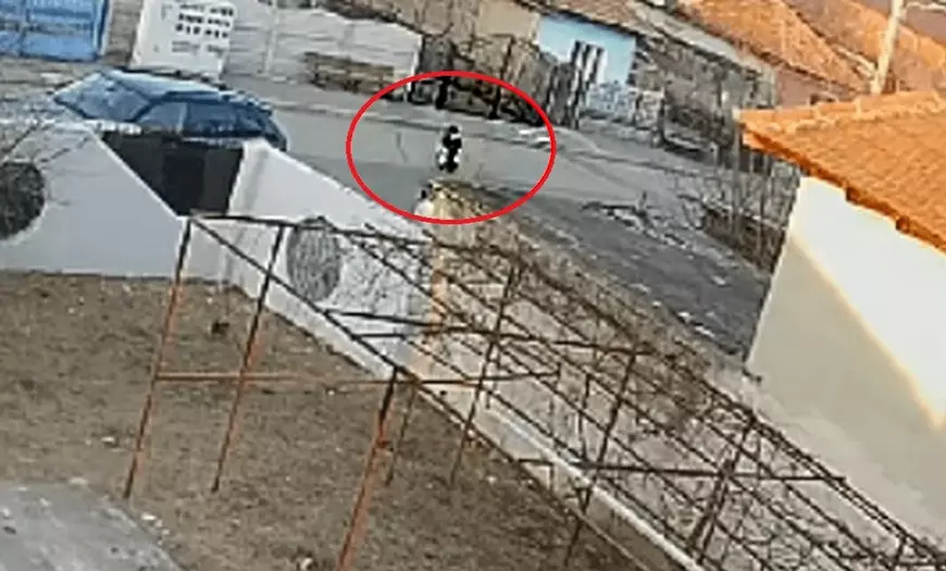 Doi copii ucişi de câini, reacţii diferite. În cazul de la Bucureşti, s-au dat ani de închisoare şi 2.400.000 de euro daune, în timp ce la Craiova, nu există niciun vinovat