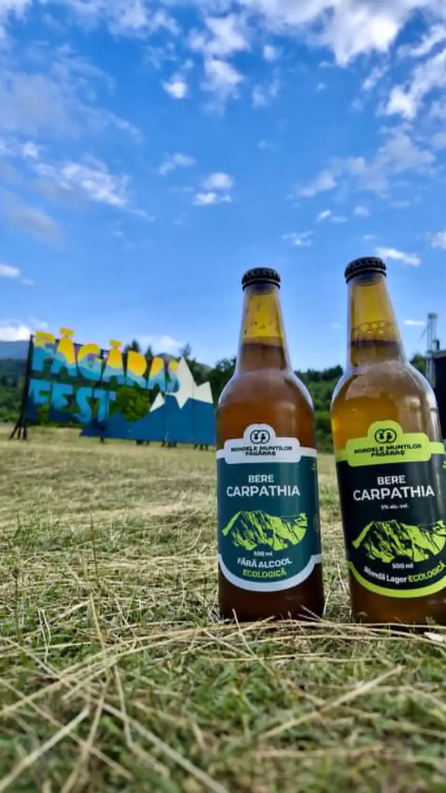 Cum se fabrică o bere artizanală veritabilă: „Sunt folosite doar patru ingrediente”. La scară industrială, fermentația este accelerată de la 4-6 săptămâni la 5-7 zile