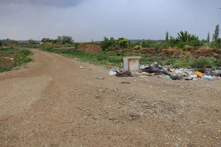 Doi copii ucişi de câini, reacţii diferite. În cazul de la Bucureşti, s-au dat ani de închisoare şi 2.400.000 de euro daune, în timp ce la Craiova, nu există niciun vinovat
