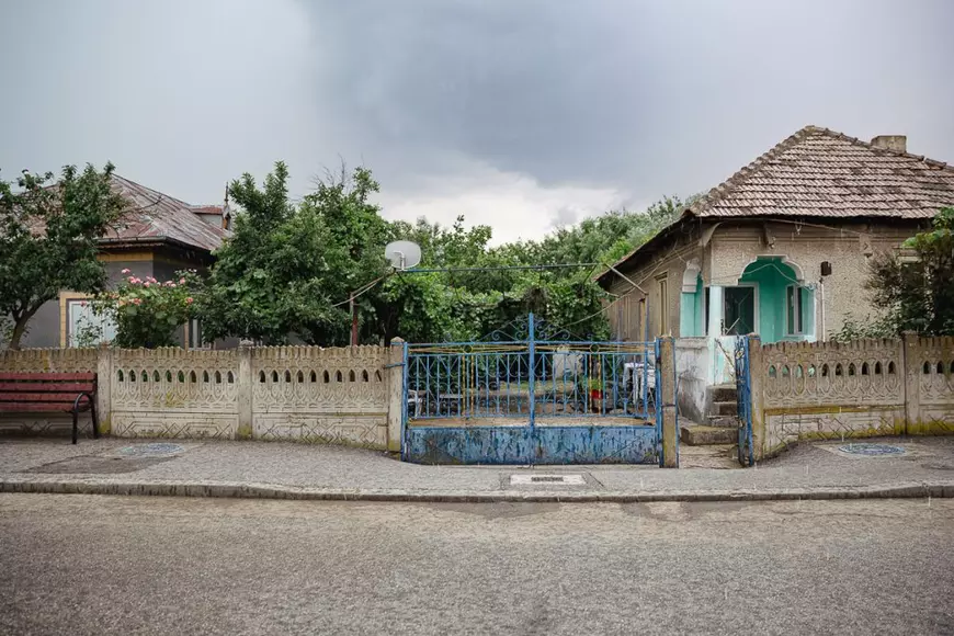 Doi copii ucişi de câini, reacţii diferite. În cazul de la Bucureşti, s-au dat ani de închisoare şi 2.400.000 de euro daune, în timp ce la Craiova, nu există niciun vinovat