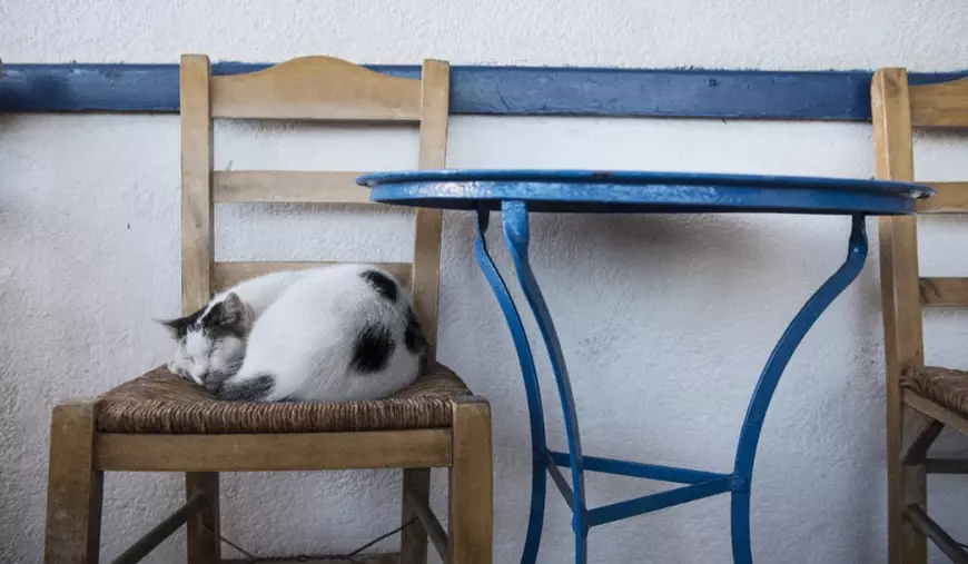 Taverna din Grecia unde nimeni nu are voie să stea la masa 6. Scaunul este rezervat exclusiv unei pisici