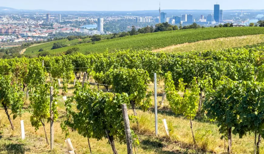 Orașul de vis la o oră de România unde scapi de caniculă și te plimbi doar pe jos printre clădiri superbe