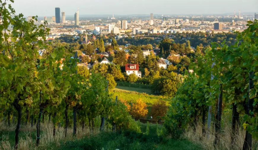 Orașul de vis la o oră de România unde scapi de caniculă și te plimbi doar pe jos printre clădiri superbe