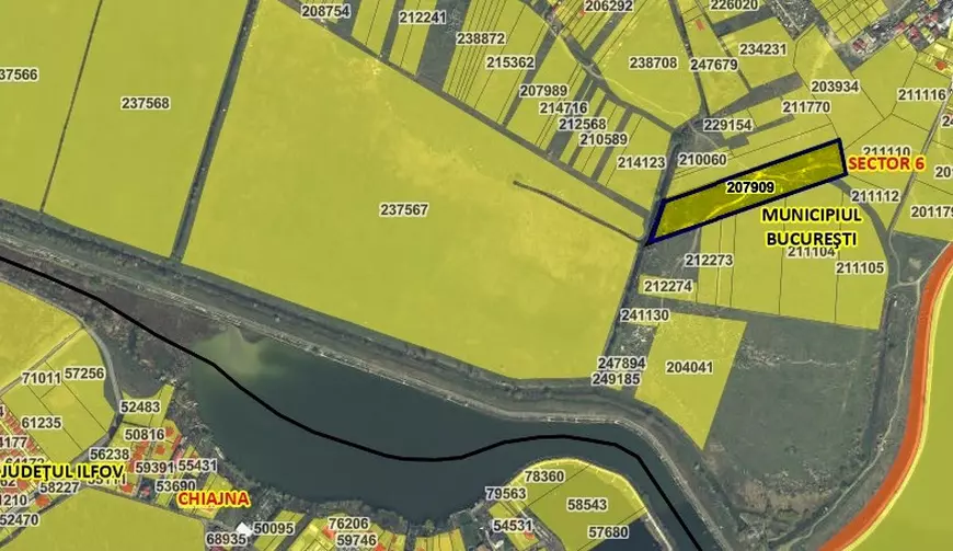 Clasare în cazul Anei Oroş, femeia ucisă de câini lângă Lacul Morii din Bucureşti. „Fapta nu e prevăzută de legea penală”, deşi a existat un „mediu propice haitei de câini”, spun magistraţii 