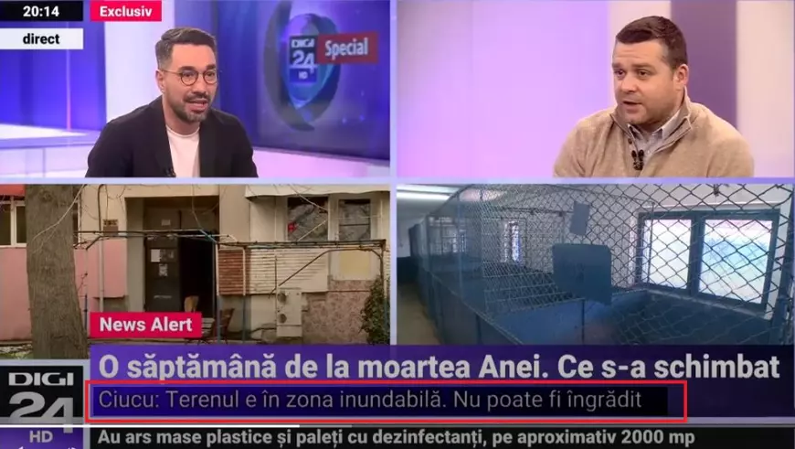 Clasare în cazul Anei Oroş, femeia ucisă de câini lângă Lacul Morii din Bucureşti. „Fapta nu e prevăzută de legea penală”, deşi a existat un „mediu propice haitei de câini”, spun magistraţii 