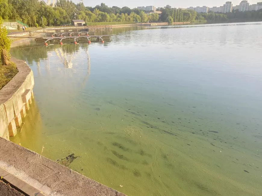 Apocalipsa din Parcul Tei: complexul de distracții abandonat, bănci vandalizate, munți de gunoaie, pontoane devastate. Pericol iminent de tragedii!