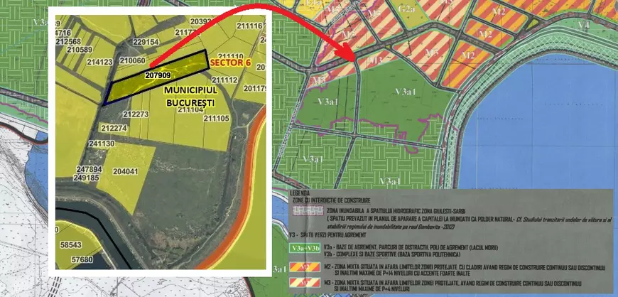 Clasare în cazul Anei Oroş, femeia ucisă de câini lângă Lacul Morii din Bucureşti. „Fapta nu e prevăzută de legea penală”, deşi a existat un „mediu propice haitei de câini”, spun magistraţii 