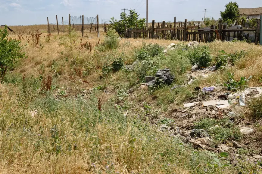Cazul lui Iosif Fodor, băieţelul de 3 ani ucis de câini pe un teren viran al Primăriei Mărăşeşti