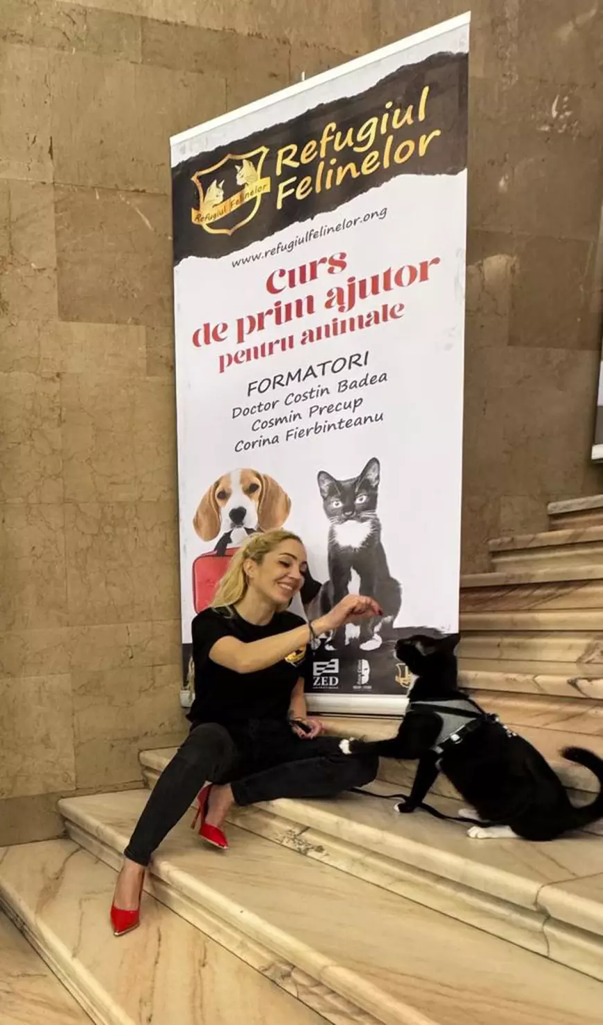 Curs de prim ajutor pentru animale din România. Ce trebuie să știi dacă întâlnești un animal aflat în pericol. Corina Fierbințeanu: „Uneori, cel mai bun ajutor pe care îl poți oferi este să știi ce să nu faci” 