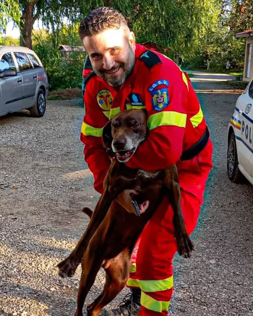 Curs de prim ajutor pentru animale din România. Ce trebuie să știi dacă întâlnești un animal aflat în pericol. Corina Fierbințeanu: „Uneori, cel mai bun ajutor pe care îl poți oferi este să știi ce să nu faci” 