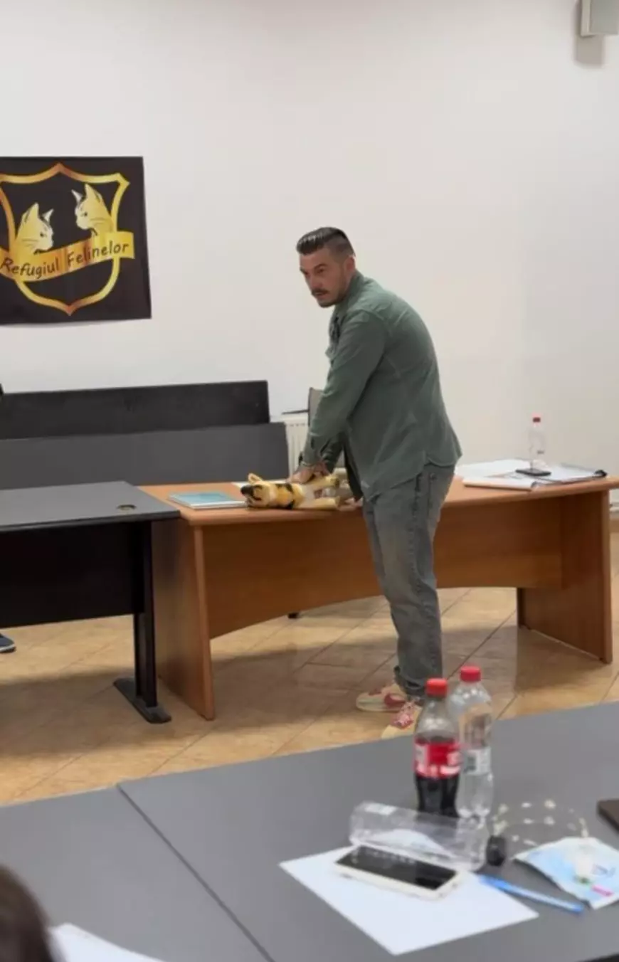 Curs de prim ajutor pentru animale din România. Ce trebuie să știi dacă întâlnești un animal aflat în pericol. Corina Fierbințeanu: „Uneori, cel mai bun ajutor pe care îl poți oferi este să știi ce să nu faci” 