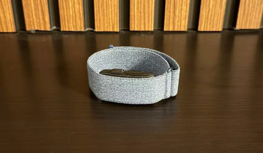 Garmin Cirqa în fața unui fundal de lemn.