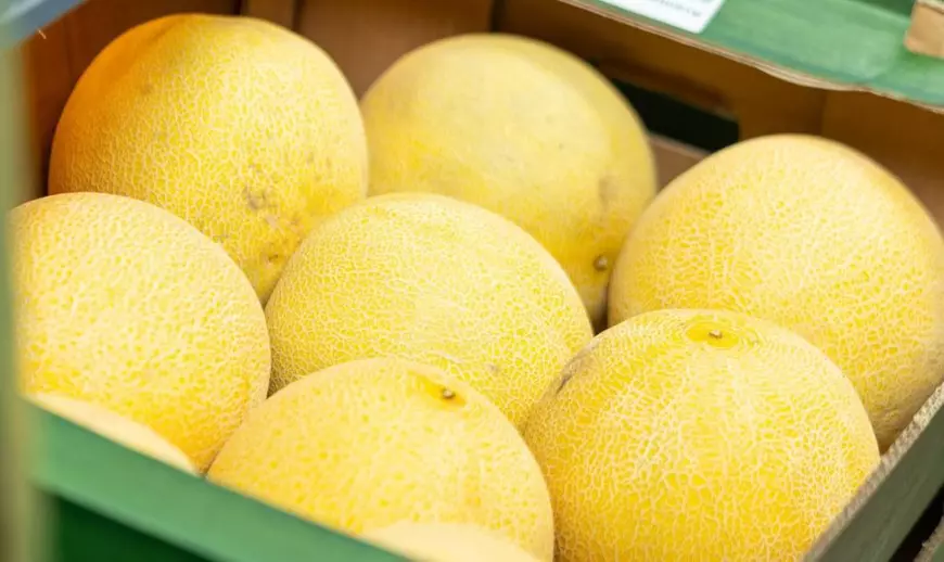 Vedeta discretă a verii din magazinele Lidl: pepenele galben și surprizele sale