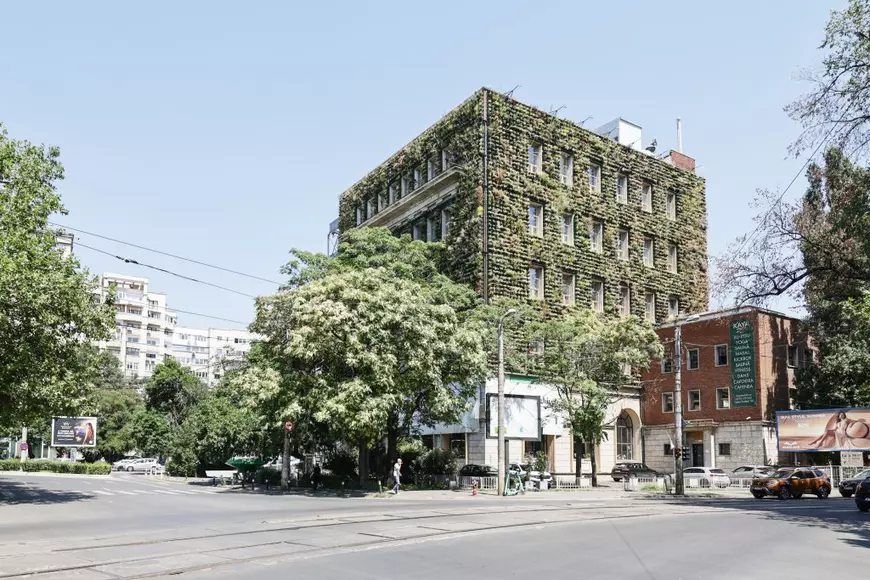 Mall-ul de plante din București are cinci niveluri cu peste 1.200 de soiuri, ghivece inteligente și un mesteacăn artificial care costă cât un apartament