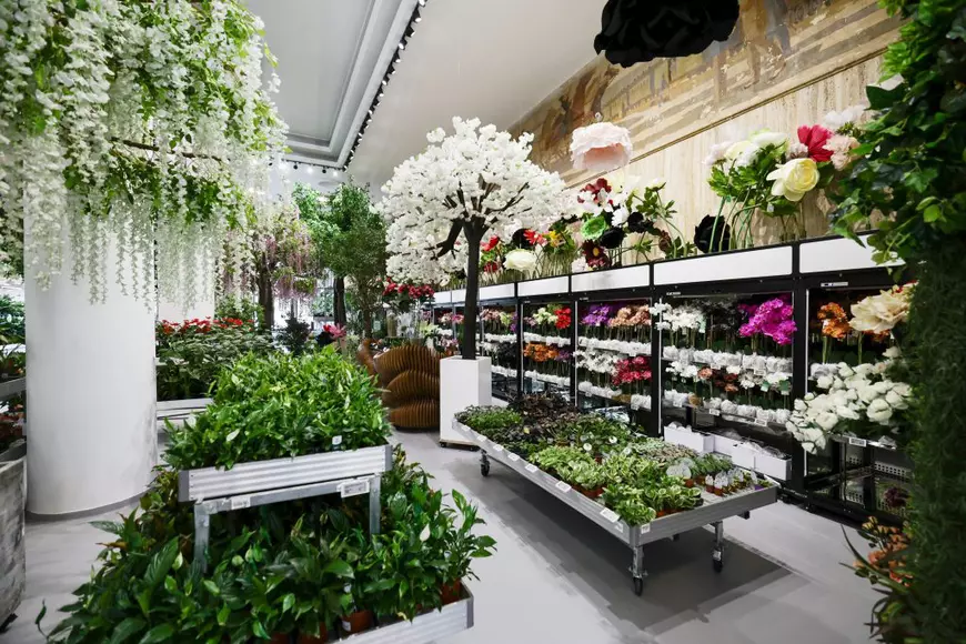 Mall-ul de plante din București are cinci niveluri cu peste 1.200 de soiuri, ghivece inteligente și un mesteacăn artificial care costă cât un apartament