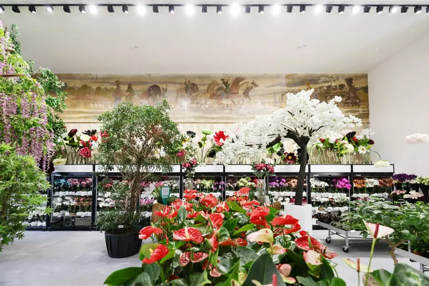 Mall-ul de plante din București are cinci niveluri cu peste 1.200 de soiuri, ghivece inteligente și un mesteacăn artificial care costă cât un apartament