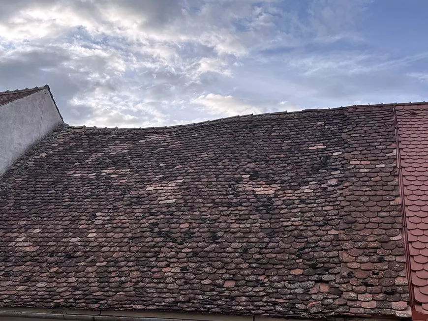 Sibiu văzut de la înălțimea acoperișurilor: aerisirile-ochi, țiglele-solz și peștii fără gravitație ai lui Câlția