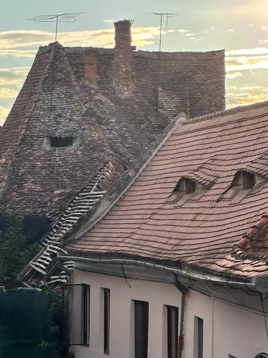 Sibiu văzut de la înălțimea acoperișurilor: aerisirile-ochi, țiglele-solz și peștii fără gravitație ai lui Câlția