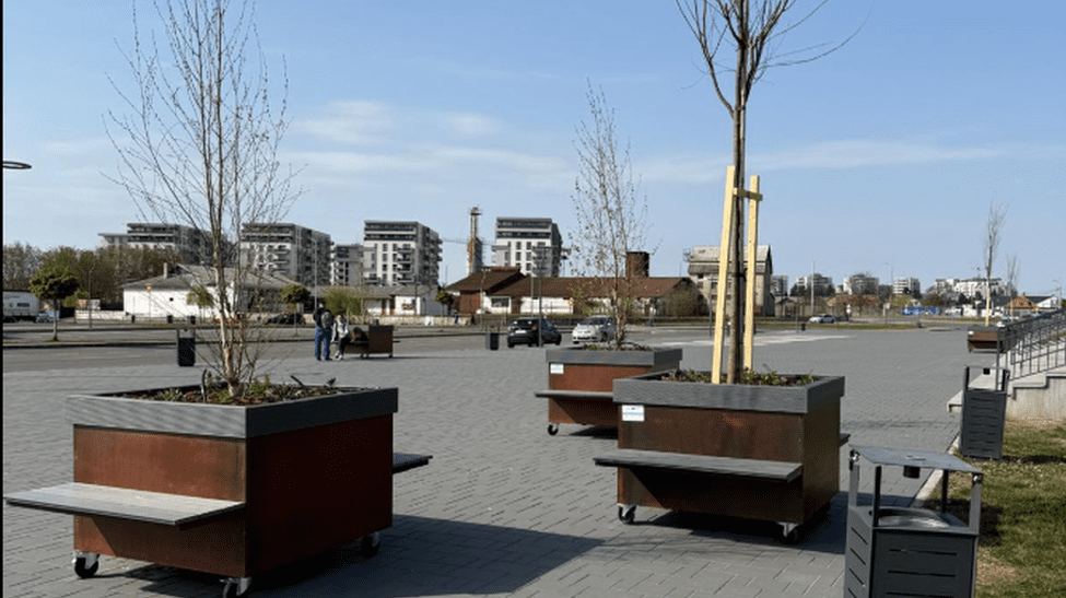 Pădurea urbană mobilă din Oradea: copaci pe roți