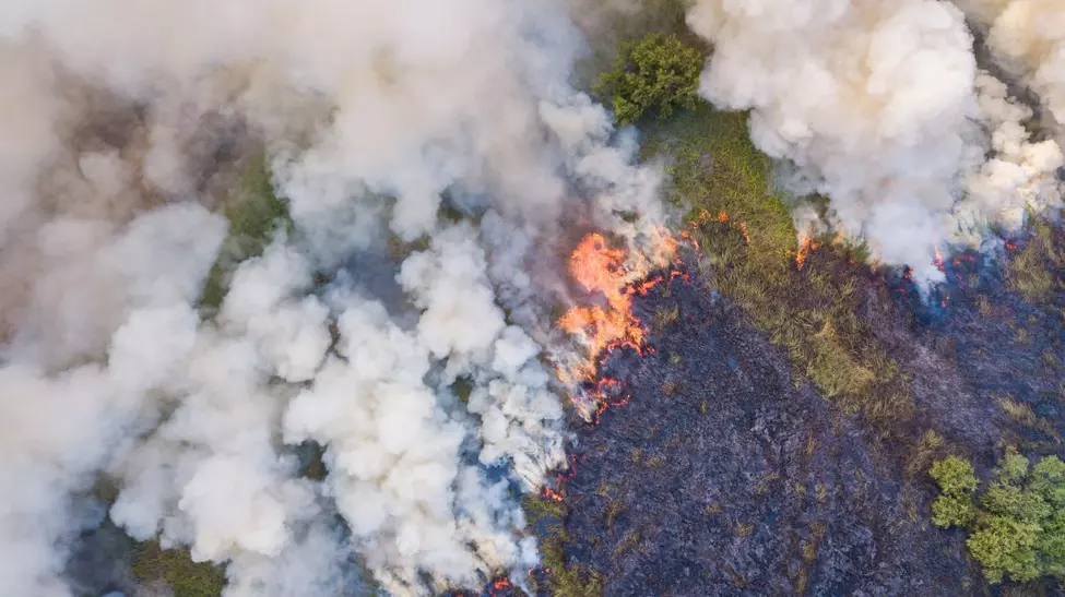 Australia, sub foc: Temperaturi record și incendii devastatoare