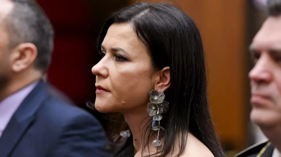 Ce avere și ce experiență are Cristina Chiriac