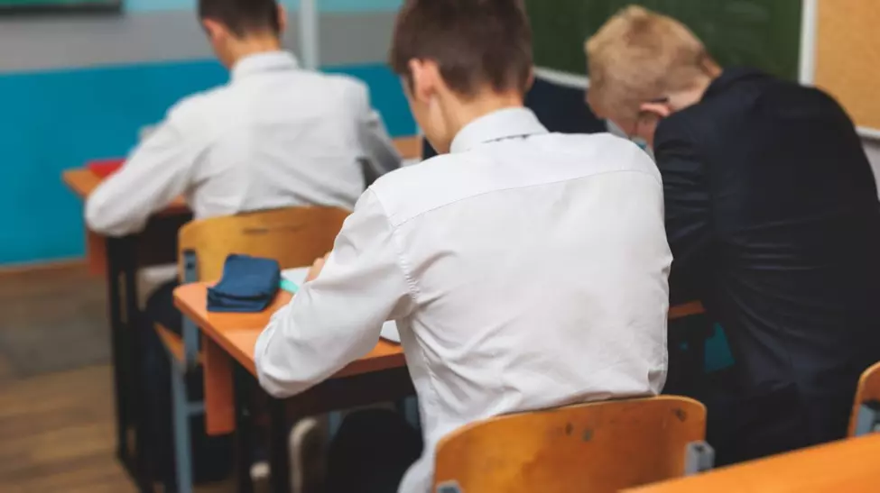Simulare Bacalaureat 2026. Subiectele la Informatică