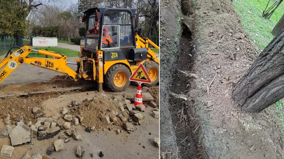 Amenzi pentru distrugerea spațiului verde din Parcul Carol