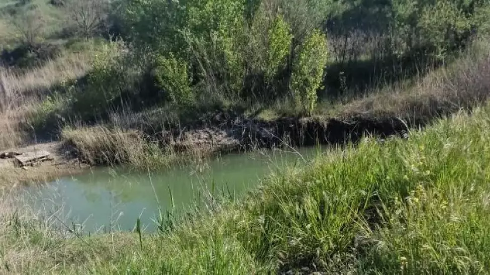 Copil de 4 ani găsit mort în Suraia, Vrancea
